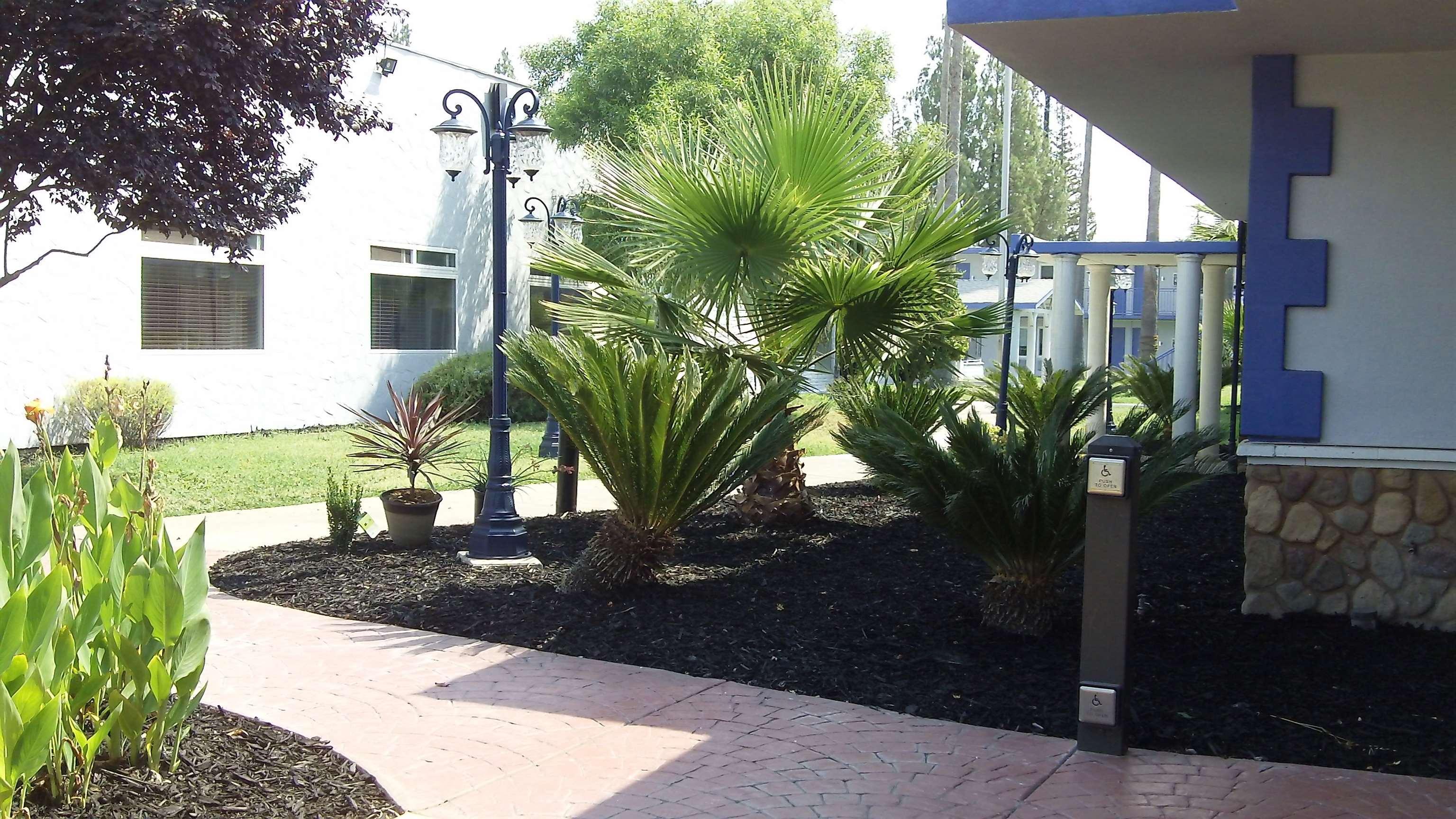 Surestay Plus Hotel By Best Western Sacramento Cal Expo Eksteriør billede